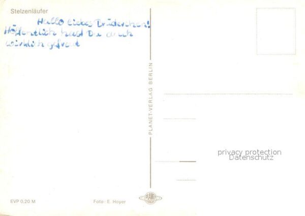 Voegel Stelzenläufer – Bild 2