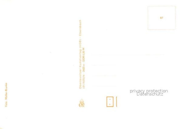 Voegel – Bild 2