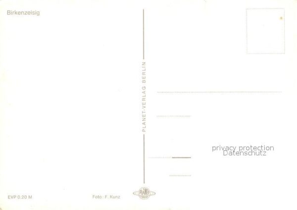 Voegel Birkenzeisig – Bild 2