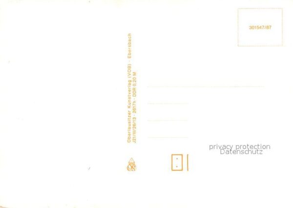 Voegel Rotrückenwürger – Bild 2