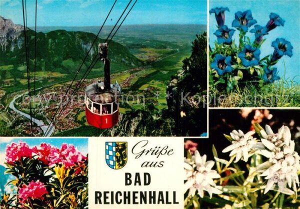 Seilbahn Bad Reichenhall Edelweiss Alpenrosen En