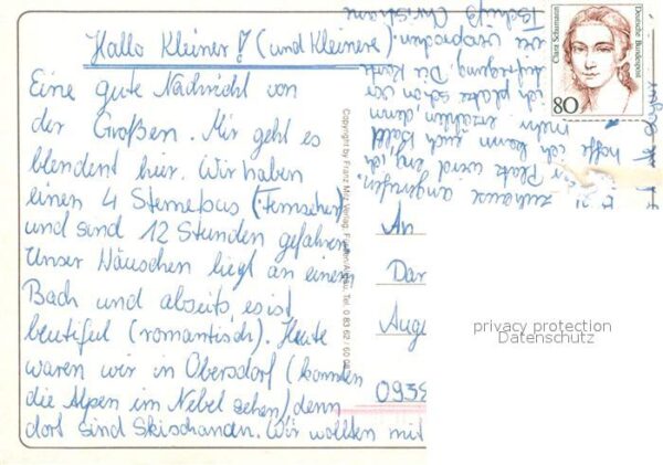 Kuehe – Bild 2