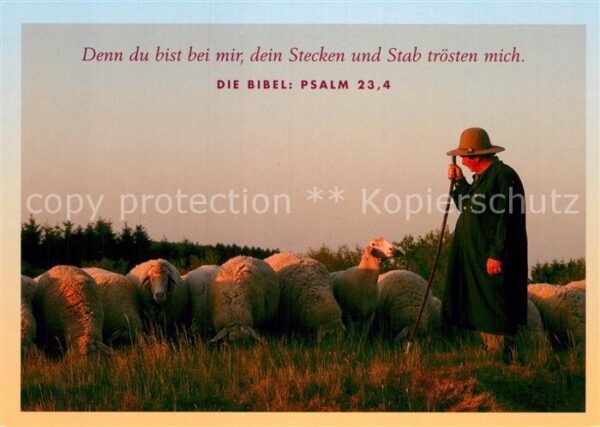 Schafe Hirte Psalm 234