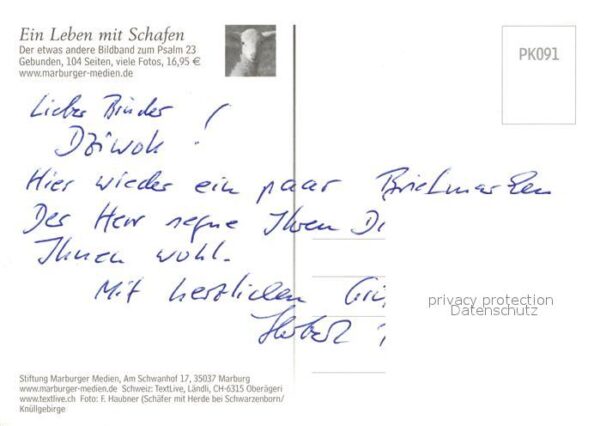 Schafe Hirte Psalm 234 – Bild 2