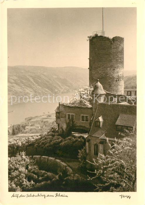 Foto Popp Nr. Schönburg am Rhein