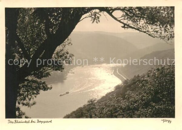 Foto Popp Nr. Rheintal Boppard