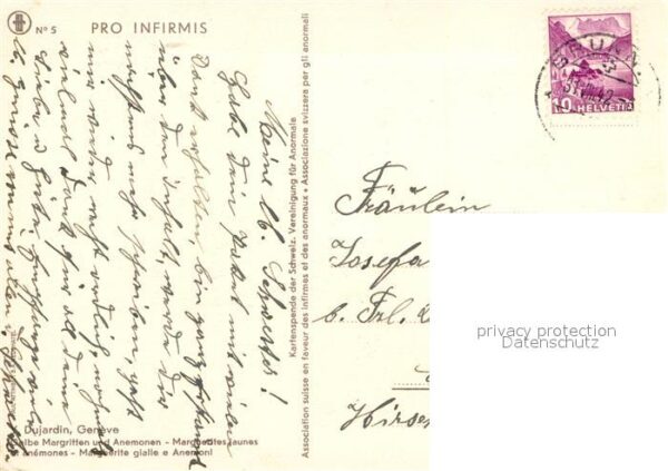 Kuenstlerkarte Y. Dujardin Gelbe Margeriten und Anemon – Bild 2