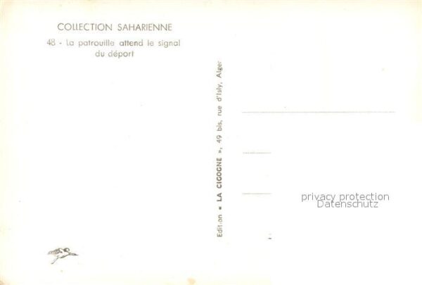 Kamel  Camel Chameau Patrouille Signal du Deport – Bild 2