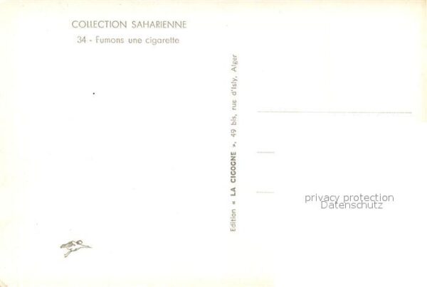 Kamel  Camel Chameau Fumons une Cigarette – Bild 2