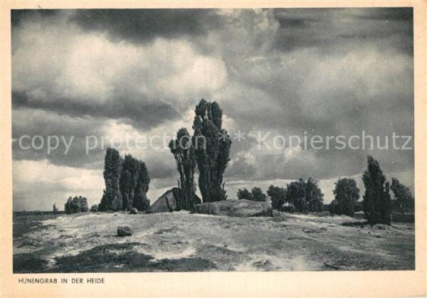 Huenengrab Heide
