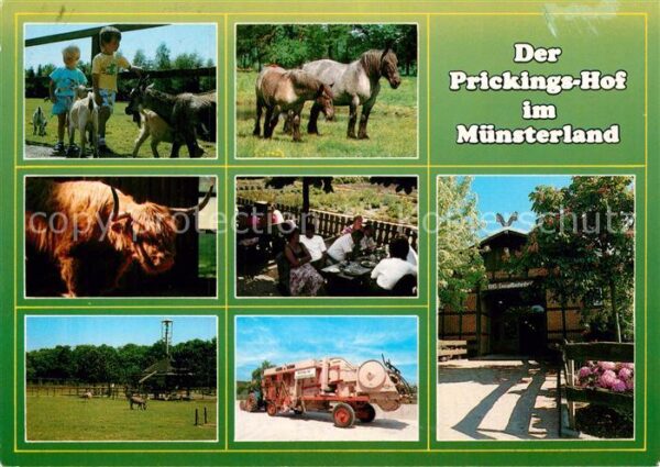 Tiere Europahof Prickings-Hof Haltern-Sythen