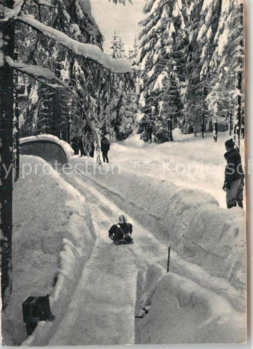 Bobsport Damenstart Rodelbahn Friedrichroda