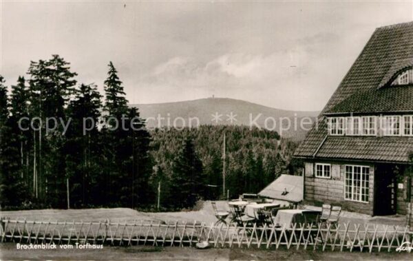 Torfhaus Harz Brockenblick