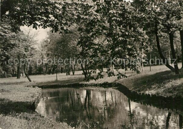 Pankow Die Panke im Bürgerpark