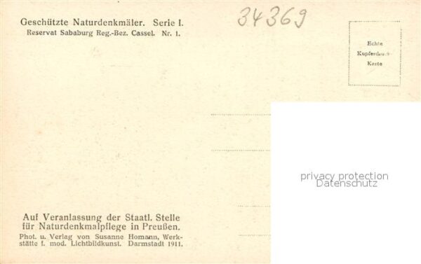 Reinhardswald Sababurg – Bild 2