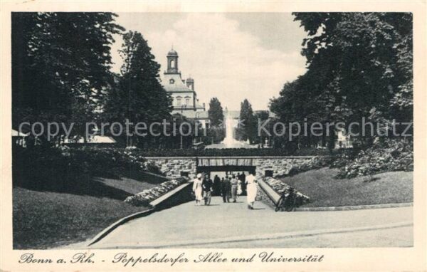 Bonn Rhein Poppelsdorfer Allee und Universität