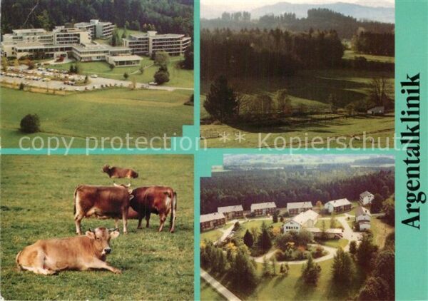 Neutrauchburg Argentaklinik Kühe Fliegeraufnahme
