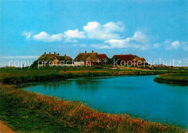 Hallig Hooge Schulwarft