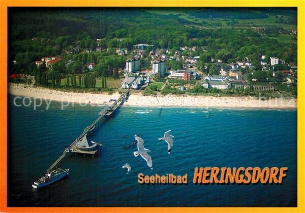 Heringsdorf Ostseebad Usedom Fliegeraufnahme mit Strand und Seebrück