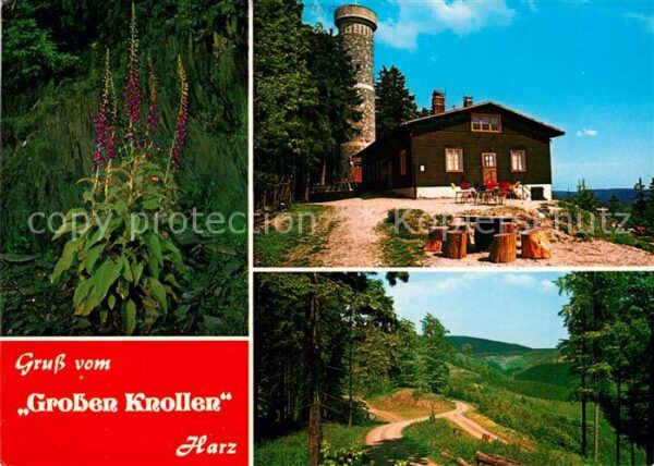 Bad Lauterberg Großer Knollen Wanderhütte