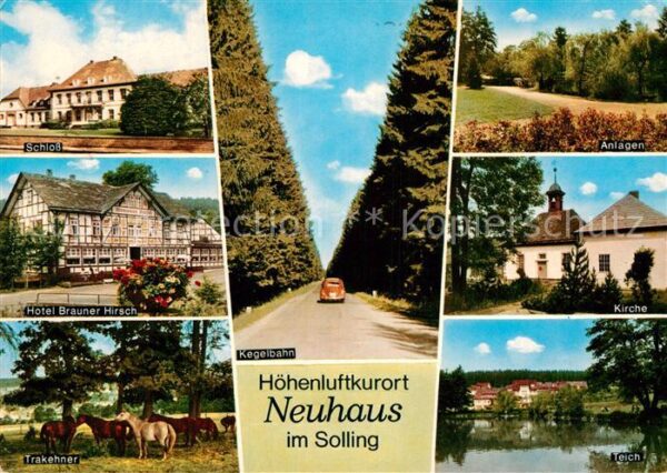 Neuhaus Solling Schloss Hotel Trakehner Pferde Kegelbah