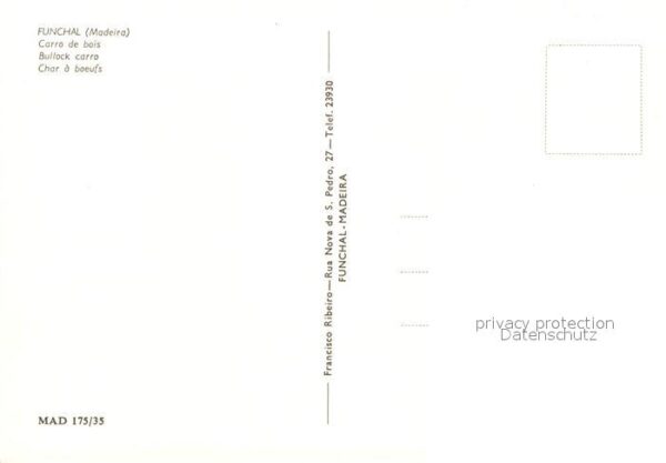 Funchal Carro de bois Ochsenkutsche – Bild 2