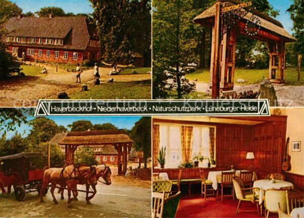 Niederhaverbeck Gasthof Haverbeckhof Pferdekutsche Natu