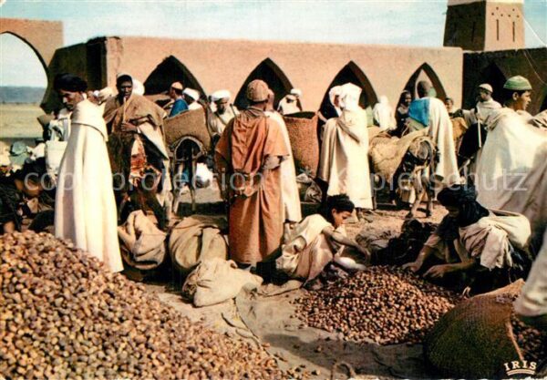 Tagounite Souk aux dattes Dattelnmarkt