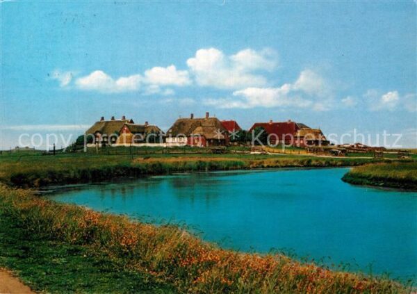 Hallig Hooge Schulwarft