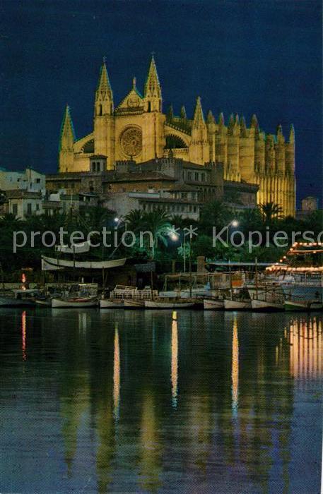 Palma de Mallorca Vista nocturna de la Catedral