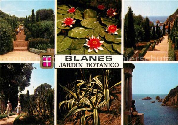 Blanes Jardin Botanico Diversos aspectos