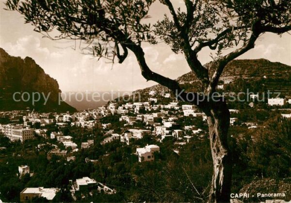 Capri Panorama