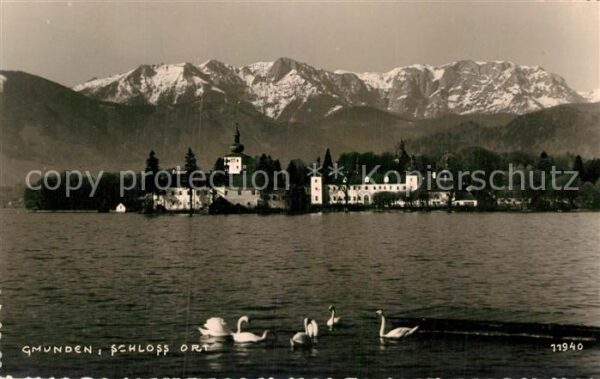 Gmunden Salzkammergut Schloß Ort Schwäne