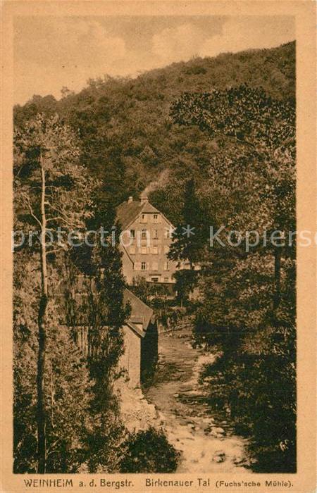 Weinheim Bergstrasse Birkenauer Tal Fuchssche Mühle