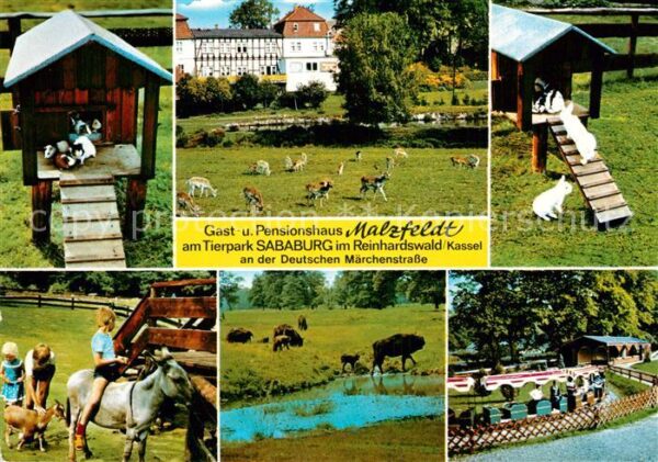 Reinhardswald Pension Malzfeldt Esel Tierpark
