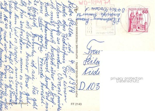 Kaub Pfalz im Rhein – Bild 2