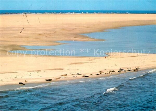 Nordsee Region Seehundbank in der Nordsee Fliegeraufna