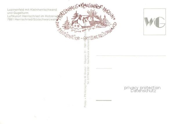 Herrischried Lupinenfeld mit Kleinherrischwand und G – Bild 2