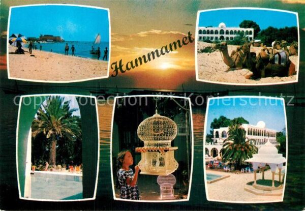 Hammamet Strand Kamele Palmen Hotel