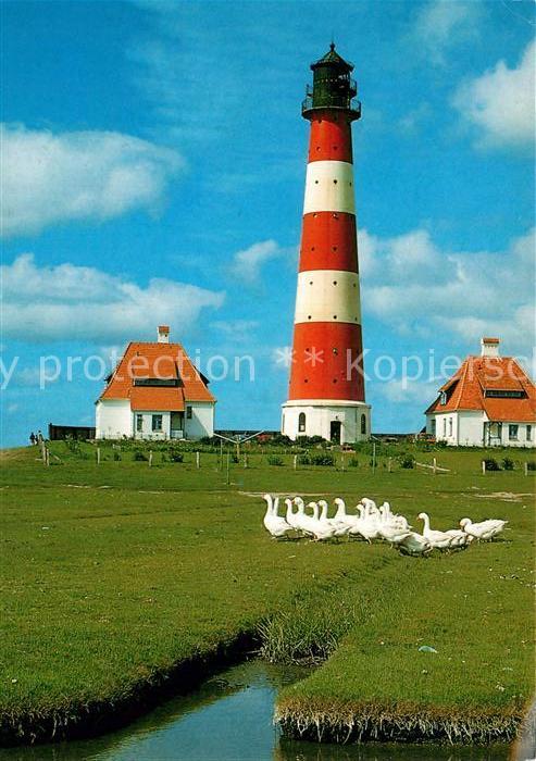 Westerhever Leuchtturm Gänseschar