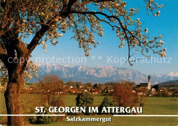 St Georgen Attergau Panorama