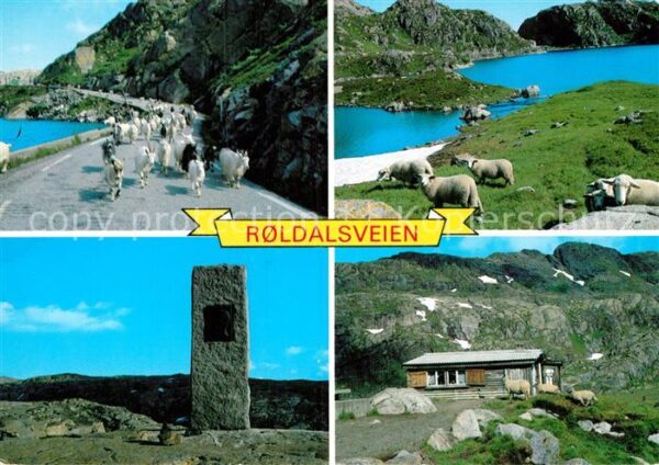 Norge Norwegen Veien Sauda Roldal