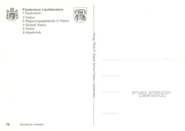 Liechtenstein  Feuerwerk Schloss Vaduz Regierungsgebäu – Bild 2