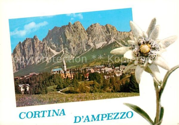 Cortina d Ampezzo Edelweiss