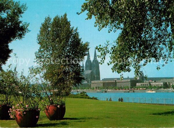 Koeln Rhein Dom