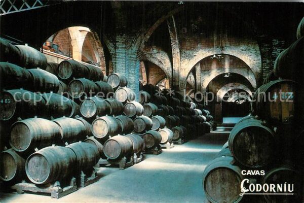 Sant Sadurni d Anoia Cavas Codorniu Celler Gran