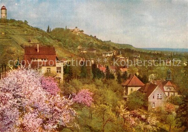 Radebeul Friedensburg und Wasserturm Blühende Lö