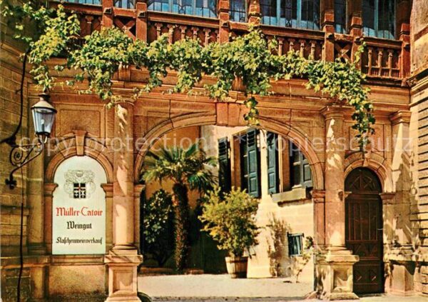 Neustadt Weinstrasse Weingut Müller Catoir