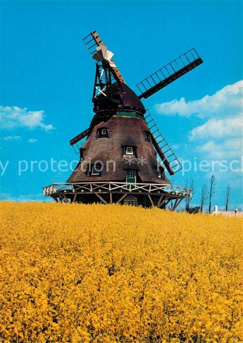 Windmuehle Ostholstein