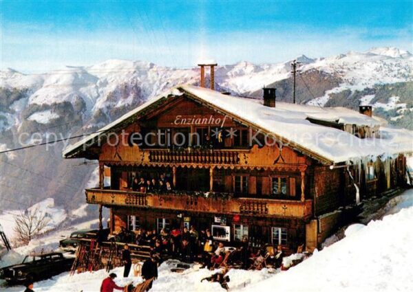 Zell Ziller Tirol Alpengasthof Enzianhof